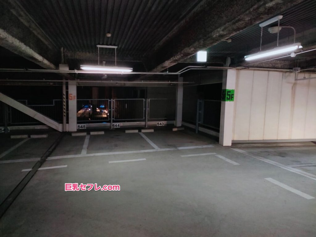 和歌山市営中央駐車場でカーセックスできた場所